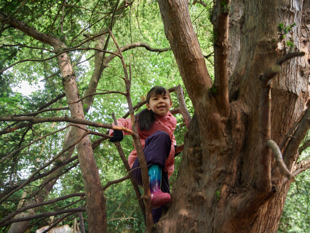 Student climbing up a tree