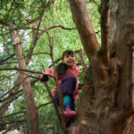 Student climbing up a tree